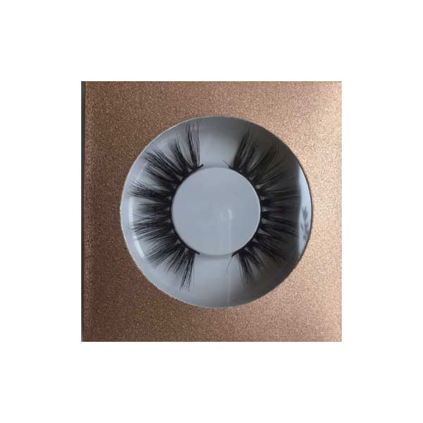 Eyelashes box BZ009 | shizhiyu