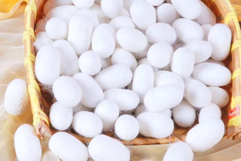 Silk protein eyelashes are fiber eyelashes | shizhiyu