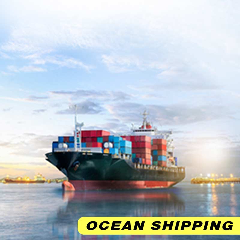 professional wholesale eyelash suppliers | shizhiyu