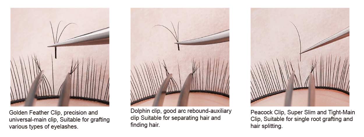 Lash Extension Tweezers Usage steps | shizhiyu